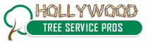 Tree Service Hollywood, FL | Tree Removal, Trimming & Stump Grinding
